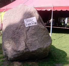 10 examples from the internet. Quatsch Stein Bitte Liegen Lassen Die Besten 100 Bilder In Vielen Kategorien