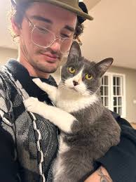 Missing female cat with tipped ear in Bashford Manor area