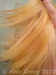 Purple shampoo to remove orange hair fast use a purple shampoo or hair line with purple pigments. Pastel Lavender Color On Yellow Gold Toned Hair Forums Haircrazy Com