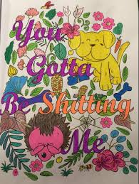 Cute insult calming coloring page with ornaments by paperbro. Memos To Shitty People A Delightful Vulgar Adult Coloring Book Adult Coloring Book Club