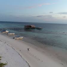This small, pristine island is a diver's oasis, situated in a protected marine environment brimming with sea life. Photos At Lankayan Island Dive Resort Lankayan Island Sabah