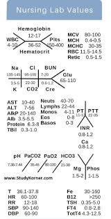 nursing fishbone lab values diagram for nclex nclex quiz