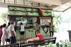 Kl bird park @ lake gardens 920, jalan cenderawasih taman tasik perdana 50480 kuala lumpur malaysia tel: Kuala Lumpur Bird Park Houses More Than 3000 Birds Representing More Than 200 Species In An Enclosed Aviary Klia2 Info