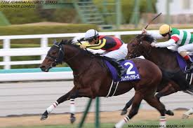 Nhkマイルカップ 競馬 nhkマイルカップ 競馬 nhkマイルカップ 競馬 nhkマイルカップ 競馬 nhkマイルカップ 競馬 nhkマイルカップ 競馬 nhkマイルカップ 競馬. Nhkãƒžã‚¤ãƒ«ã‚«ãƒƒãƒ—2021ã®ç«¶é¦¬äºˆæƒ³åˆ†æž 3ã¤ã®ãƒ‡ãƒ¼ã‚¿ã‹ã‚‰å°Žãå±é™ºãªäººæ°—é¦¬