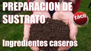 Sustrato para cactus y suculentas casero. Como Preparar Sustrato Para Cactus Y Suculentas Facil Y Rapido Youtube