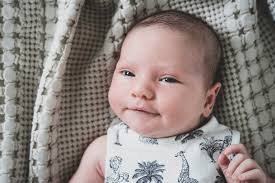 Picture This Studios