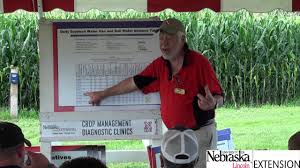 Image result for Neorautanenia ficifolia