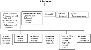 Polyphenol Classifications Classes Of Polyphenols And Their