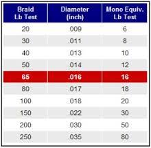 Line Leaders For Black Drum