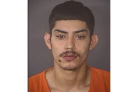 Selena Moya Archives