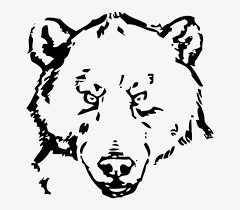 Draw a circle in front of each paw. Head Eyes Face Bear Animal Fur Sketch Silhouette Bear Line Art 640x638 Png Download Pngkit