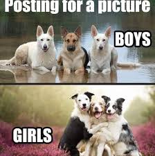 Rdl Humpwednesday Chuckle Funny Animal Jokes Funny Animal Memes Animal Jokes