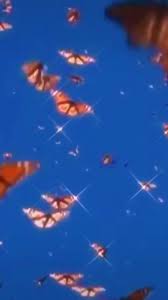 You Are In The Right Place About Wallpaper Aesthetic Here We Offer You The Most B In 2020 Aesthetic Pastel Wallpaper Butterfly Wallpaper Iphone Aesthetic Collage