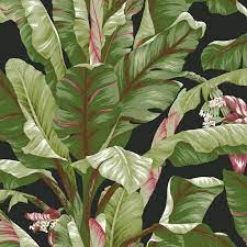 Maybe you would like to learn more about one of these? Banana Leaf Wallpaper In Green And Black Design By York Wallcoverings Burke Decor