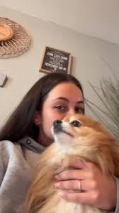 🤍🤍🕊️ #fyp #pourtoii #spitz #amour