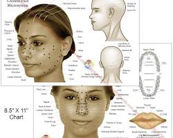 head face acupuncture points chart, yapay zekayla üretilmiş