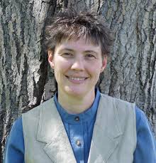 The St. Martinss Voice