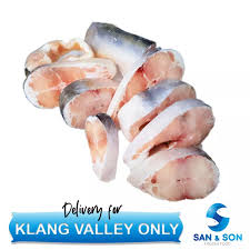 Nama patin juga disematkan pada salah satu anggotanya, p. Frozen Ikan Patin Slice 1kg Per Packet With Bone Patin Fish Steak San And Son Frozen San Son Lazada
