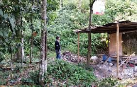 Tanah Kediaman Pembangunan Di Uia Sg Pusu Gombak Untuk Dijual Outdoor Structures Outdoor Gazebo