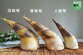■前往有竹林的朋友島嶼上*1，並雙方是最佳好友的状態下，可使用鏟子系列挖走朋友島嶼的竹筍*2，帶回種植。 ■不可改植 ■斧頭系列可砍取素材３次 ■斧頭・金斧頭砍３次剩竹根 ■延伸生長１次竹筍. ç›´æŽ¥è·Ÿè¾²å¤«è²· ä¸å¼·å‡ºé ­å‹å–„ç¶ ç«¹ç­ å¸¶æ®¼é®®ç­