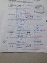 Part A Cells Dna Mrs Earlands Class Resources