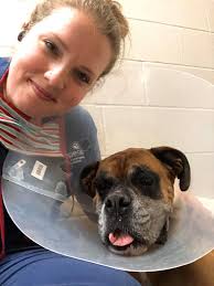 Does anyone familiar with the photo below? My LO had them since Tuesday. We  already booked to see doctor tomorrow. Just wondering if someone had the  same as my LO before. What