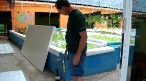 Aquaponics Floating Raft Foam Sheet Aquaponic