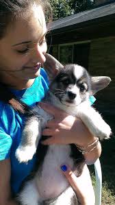 Hi everyone- our daughter had Ewing's in her spine age 5 and was treated  with a laminectomy, chemo, and proton radiation. She's 12 now and in  remission but has had a series