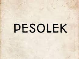 Sinonimləritəşkil edən sözlər eyni nitq hissəsinə aid olur. Arti Kata Pesolek Merupakan Istilah Lain Dari Solek Ini Artinya Sikalem