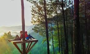 Pemesanan tiket kapal bisa langsung kekantor pelni terdekat dikota kamu atau melalui situs pelni.co.id. 10 Gambar Bukit Pentulu Indah Kebumen Harga Tiket Masuk Lokasi Alamat Rute Jalur Menuju Wisata Jam Buka Tutup Jejakpiknik Com