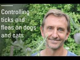 Catrina Ferris (@smallecobear.bsky.social) — Bluesky