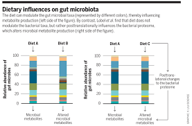 Mais uma canção de amor (acústico groove) [feat. The Gut Microbiota In Kidney Disease Science