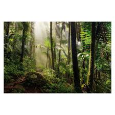 Thrive Tropical Jungle Cling Background For Terrarium In 2020 Nature Aesthetic Scenery Background