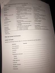 Check spelling or type a new query. Table 4 1 Eukaryotic Structures In Animal Cells And Chegg Com