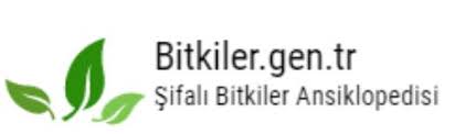 Sifa Kaynagi Kedi Pencesi Otu Bitkiler Dunyasi