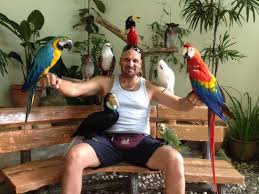 Where else will you find such variety and walk among some of nature's most colourful creatures. Kl Bird Park Picture Of Traders Hotel Kuala Lumpur Tripadvisor