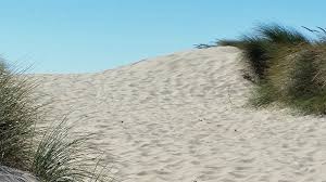 Dune buggy tours are one of the best ways to see this. Oregon Dunes National Recreation Area Gypsy Journal Rv Travel Newspaper