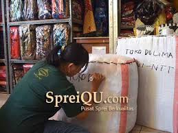 Grosir selimut karakter, jual selimut surabaya, jual selimut rosanna, selimut soft panel, selimut bulu lembut, selimut karakter anak, selimut anak motif kartun, grosir selimut murah, jual selimut surabaya | h. Distributor Sprei Dan Grosir Selimut Spreiqu Sidoarjo
