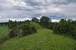 Udemy is an online learning and teaching marketplace with over 130,000 courses and 35 million students. Category Smula As Wikimedia Commons