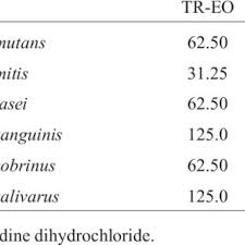 Image result for Tetradenia tanganyikae