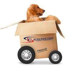 Pet transport pro offers a first class pet shipping service you can trust at a price that's not ruff! Pet Transportation Services Pet Transport In Mumbai à¤ª à¤Ÿ à¤Ÿ à¤° à¤¸à¤ª à¤° à¤Ÿ à¤¶à¤¨ à¤¸à¤° à¤µ à¤¸ à¤® à¤¬à¤ˆ