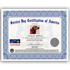 An emotional support animal is a pet that provides comfort and love to their handler. Esa Certificate News