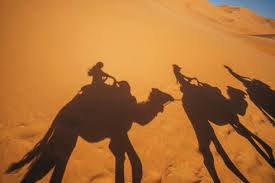 Steve greenwood submitted this fabulous illusion via email: From Above View Of Sand With Shadows Of Two People Riding Camels In Desert Of Morocco Adsf00203 Addictive Stock Creatives Westend61