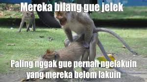 Header pics on twitter open request sticker headers must be. Mereka Bilang Aku Jelek Toplucu