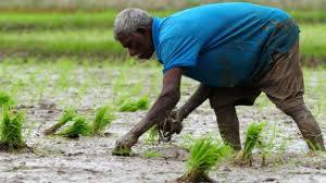 Image result for முல்லைத்தீவு மாவட்டம்
