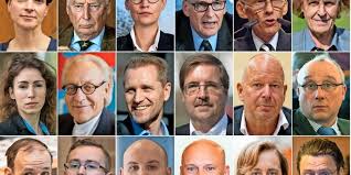 Alice weidel (afd) bei der generaldebatte zum bundeshaushalt 2021. Bundestagswahl Kurz Vorgestellt Die Neuen Von Der Afd Maz Markische Allgemeine