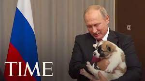 The bulgarian shepherd dog is a cross of the karakachan dog and other local breeds, including the caucasian shepherd and the central asian shepherd. Here S The Awkward Moment When Vladimir Putin Got A Puppy As A Gift Time Youtube