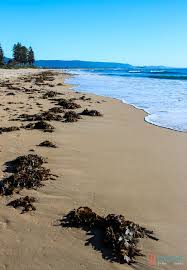 Things To Do In Wollongong The Gong Gets Us Into The Groove Cool Places To Visit Places To Visit Travel Around The World