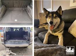 I Cleaned Out My Car For The First Time Today And Took A Picture Of My Canvasback Cargo Liner They Are So Easy T Cargo Liner Car Protection Adventure Seekers
