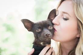 Why I don't keep the dogs I foster